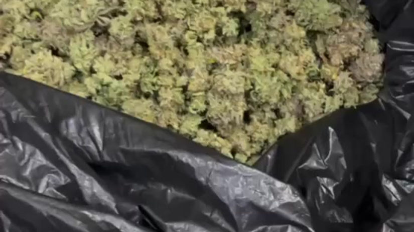 Trimming